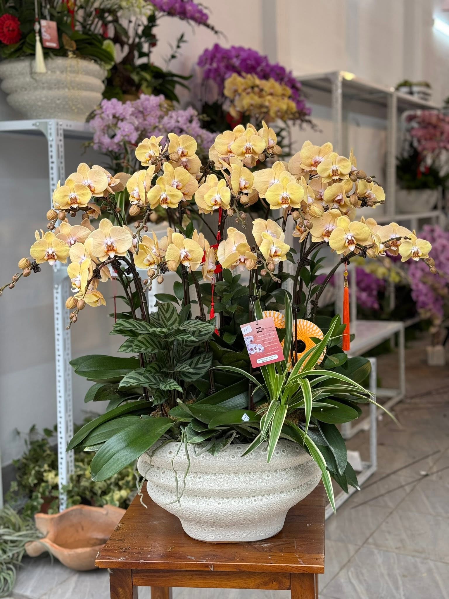 Hoa Zflower nền kêu gọi đặt hàng